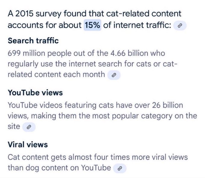 A 2015 survey found cat content accounts for 15% of internet traffic, with 26 billion YouTube views. This highlights the massive, yet often overlooked, viewership that the post implies will be drawn to the "underground gc."