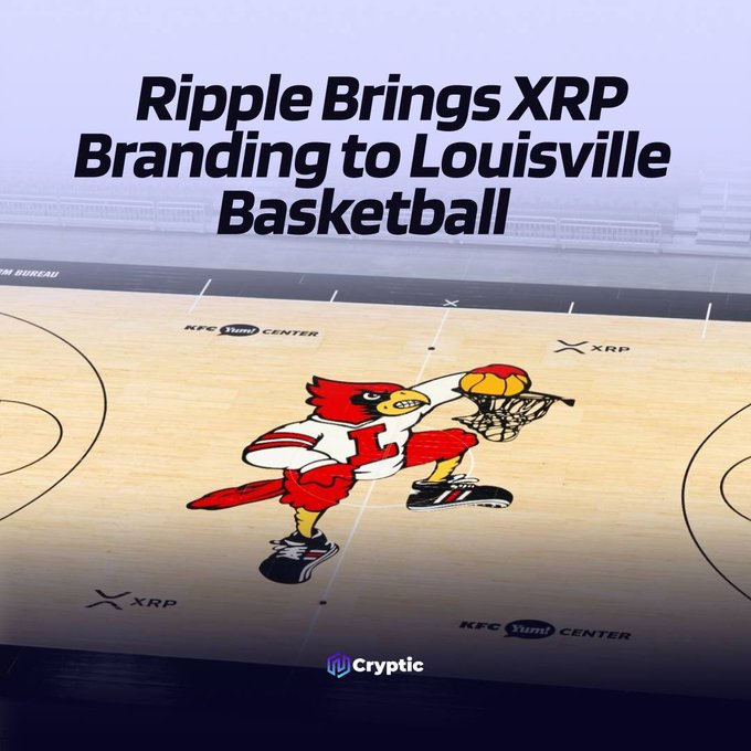 The image shows the KFC Yum! Center basketball court featuring a red cardinal mascot mid-dunk, with "XRP" branding displayed alongside the court logo, illustrating Ripple's new multi-year partnership with Louisville Athletics to bring XRP branding to their basketball program.