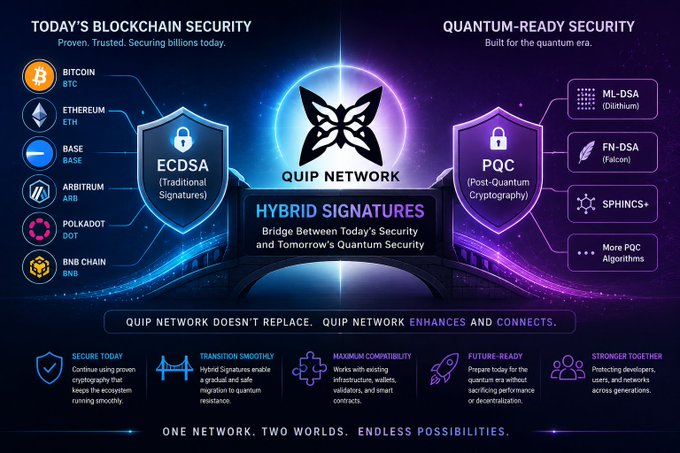 An infographic for the QUIP NETWORK showing 'HYBRID SIGNATURES' bridging 'TODAY'S BLOCKCHAIN SECURITY' (Bitcoin, Ethereum, Base, Arbitrum, Polkadot, BNB Chain) with 'QUANTUM-READY SECURITY' (ML-DSA, FN-DSA, SPHINCS+), with the tagline 'ONE NETWORK. TWO WORLDS. ENDLESS POSSIBILITIES.'