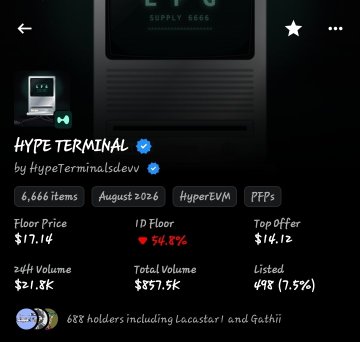 NFT collection page for 'HYPE TERMINAL' by HypeTerminalsdevv showing 6,666 items on HyperEVM, with a floor price of $17.14 (-54.8% in 1D), 24H volume of $2.1.8K, and total volume of $857.5K.