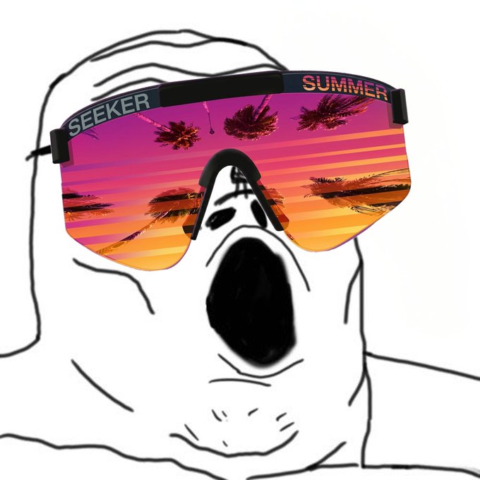 A black-and-white line drawing of a screaming figure wearing large, colorful wrap-around sunglasses that reflect a sunset beach scene with palm trees; the glasses are labeled 'SEEKER' and 'SUMMER'.