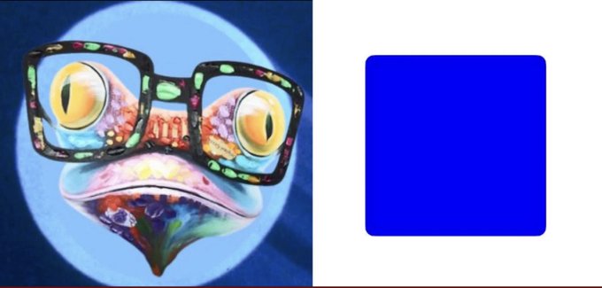 A split image showing a colorful chameleon wearing glasses against a blue moon background on the left, and a solid blue square on the right.