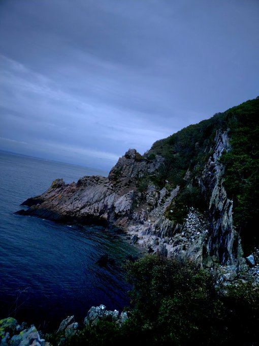 A moody coastal landscape photograph showing rocky cliffs covered in green vegetation meeting the ocean under a cloudy blue twilight sky.
