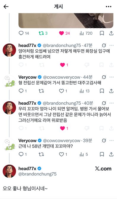 A screenshot of a Korean-language X (Twitter) thread between users 'head77x' and 'Verycow' discussing election polls and prediction markets, with various engagement metrics visible.