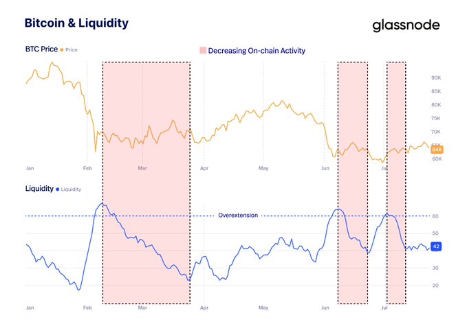 Glassnode chart titled 'Bitcoin & Liquidity' showing BTC price and liquidity trends from January to July, with shaded zones marking periods of decreasing on-chain activity.