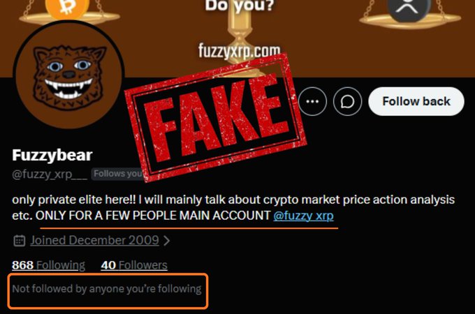 The image shows a Twitter/X profile for "Fuzzybear" (@fuzzy_xrp___), which is stamped with a red "FAKE" warning label and flagged with the note "Not followed by anyone you're following," indicating it's an impersonator account rather than the legitimate Fuzzybear (@fuzzy_xrp). This aligns with the accompanying post warning about multiple fake Fuzzy accounts that mislead the community and urging users to report them rather than engage.
