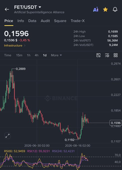 A Binance price chart for FET/USDT shows the token at $0.1596, down 3.45%, with a sharp decline from its recent peak of $0.2889 and a 24-hour low of $0.1585, illustrating the bearish sentiment referenced in the post questioning remaining $FET holders.