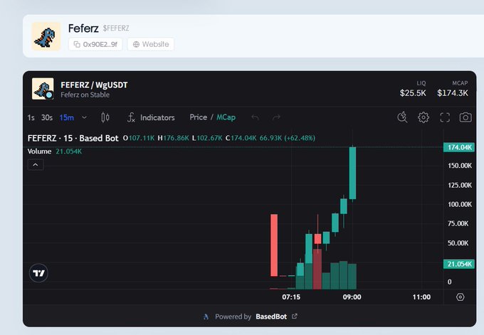 Trading chart for 'FERERZ / WgUSDT' (Feferz on Stable) showing a price of 174.04K with a +62.48% gain and a $25.5K LIQ / $174.3K MCAP, powered by BasedBot.