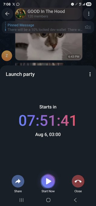 A screenshot of a Telegram interface shows a chat titled 'GOOD In The Hood' with 120 members, a pinned message about a '10% locked dev wallet,' a pinned cat image, and a 'Launch party' countdown timer at 07:51:41 until Aug 6, 03:00.