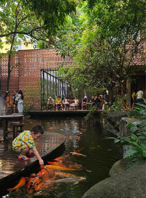 A young boy in a lemon-patterned shirt crouches at the edge of a koi pond, feeding large orange and white koi fish, with people seated in a lush garden cafe in the background.