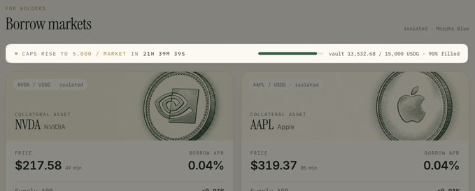 A financial interface showing 'Borrow markets' with NVDA/USDC and AAPL/USDC pairs, NVDA priced at $217.58 and AAPL at $319.37, with supply APRs at 0.04%.