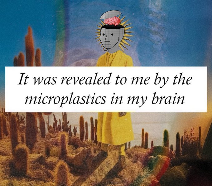 A surreal figure in a yellow robe with an exposed brain and sun-rays around its head stands in a desert landscape of cacti, overlaid with the text "It was revealed to me by the microplastics in my brain," poking fun at the $NPC token's portrayal of mindless, brainwashed behavior.