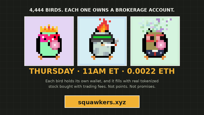 A promotional graphic for squawkers.xyz featuring three pixel-art birds (one with a crown and bubblegum, one on fire with sunglasses, and one with a rainbow mohawk) under the headline "4,444 BIRDS. EACH ONE OWNS A BROKERAGE ACCOUNT." The ad announces a Thursday 11AM ET mint for 0.0022 ETH, where each bird NFT holds its own wallet filled with real tokenized stock purchased from trading fees, aligning with the post's reminder that tomorrow's guaranteed mint list opens at 11AM ET via squawkers.xyz.