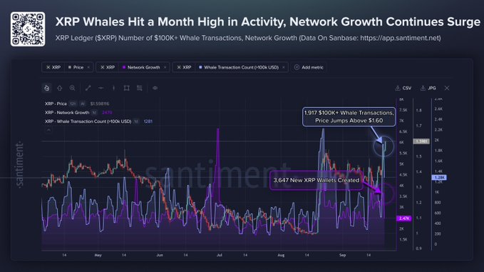 A Santiment chart shows $XRP whales hitting a one-month high with 1,917 $100K+ transactions as the price surged above $1.60, alongside a sharp spike of 3,647 new XRP wallets created—supporting the post's claim of renewed whale activity and growing FOMO around the token.