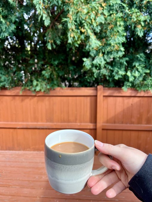 A hand holding a ceramic mug of coffee in the foreground, with a wooden fence and a green coniferous tree in the background on a sunny day.