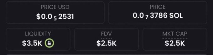 A crypto token statistics dashboard showing a price of $0.0₅2531 USD (0.0₇3786 SOL), $3.5K locked liquidity, and a $2.5K FDV and market cap—indicating a newly launched micro-cap Solana token, consistent with the post's promotion of a recent high-multiple gem call.