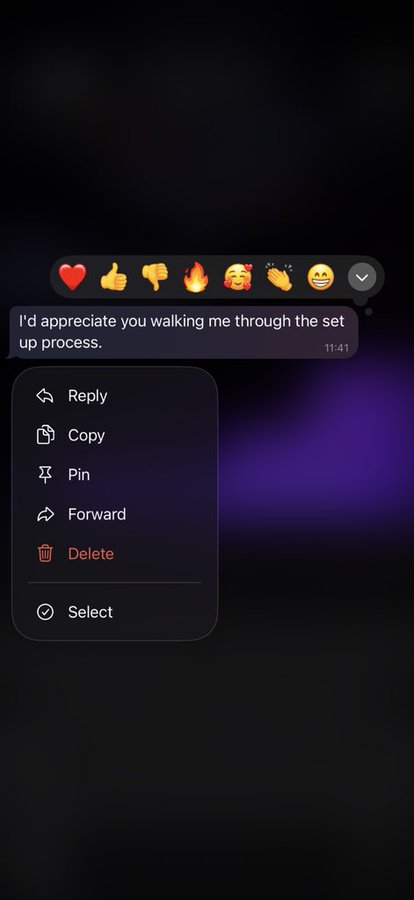 A screenshot of a chat message reading 'I'd appreciate you walking me through the set up process.' with reaction emojis and a dropdown menu showing options like Reply, Copy, Pin, Forward, Delete, and Select.