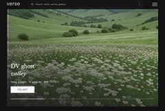 The image displays a serene green valley with rolling hills as the cover artwork for an NFT collection titled "DV plant valley" by artist zarddy on the Verse Works platform. The caption confirms that auctions for this "valley" collection are now live on @verse_works for 48 hours.