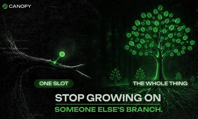 A Canopy promotional graphic featuring a dark forest scene with a glowing green tree on the right and a fallen branch with a single seedling on the left, with text reading 'ONE SLOT' vs 'THE WHOLE THING' and 'STOP GROWING ON SOMEONE ELSE'S BRANCH.'