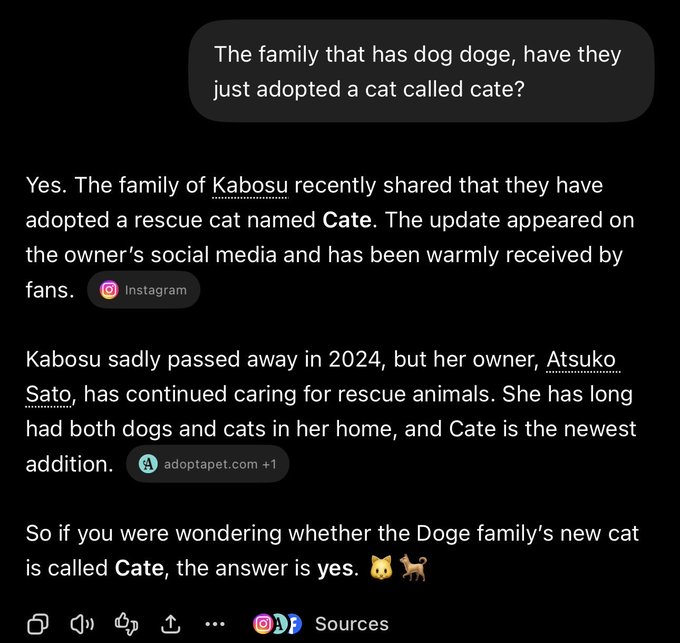 A screenshot of a chatbot conversation confirming that Kabosu's owners adopted a rescue cat named "Cate," connecting to the $catecoin post by establishing the new feline as Doge's sibling.