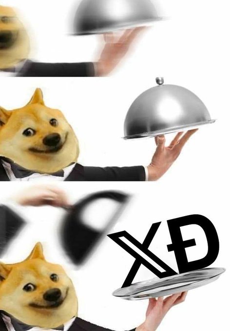 Doge meme with a waiter's hand holding a silver cloche, with 'XD' text overlay appearing in the bottom panel.