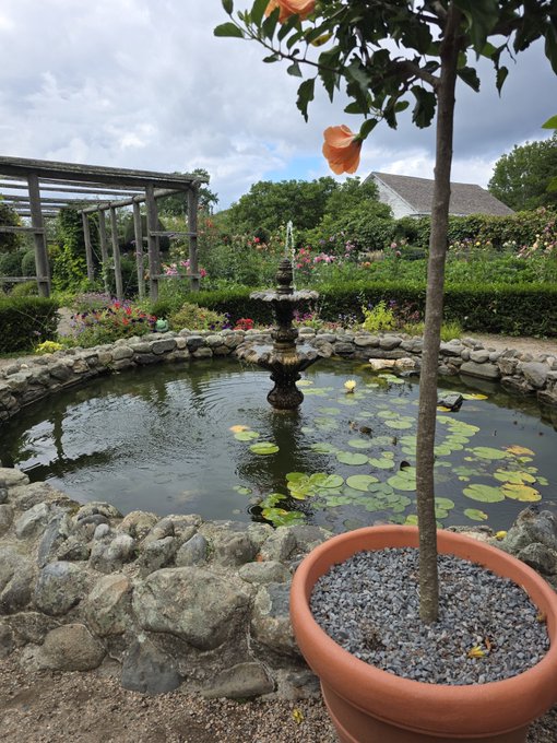 A serene garden featuring a stone-edged pond with a small fountain, lily pads, and a potted tree in the foreground, surrounded by flowers and a pergola.