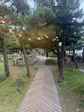 Photo of an outdoor garden path lined with pine trees adorned with string lights, leading through a wooden walkway with seating areas in the background.