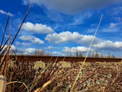 A low-angle landscape view shows dry grass and rocks beneath a bright blue sky filled with scattered white clouds.