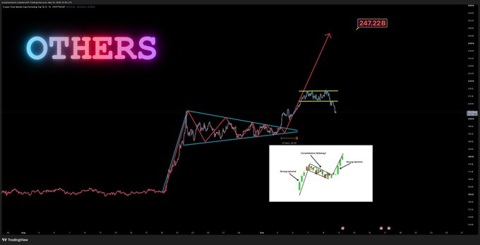 A TradingView chart displays the "$OTHERS" ticker, showing its price action breaking downward out of a horizontal channel highlighted by yellow lines, consistent with the post's description of a breakdown. An embedded diagram illustrates a descending channel pattern within the broader analysis.