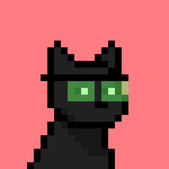 A minimalist pixel-art illustration of a dark, hooded cat-like figure with bright green rectangular glasses set against a solid coral-red background.