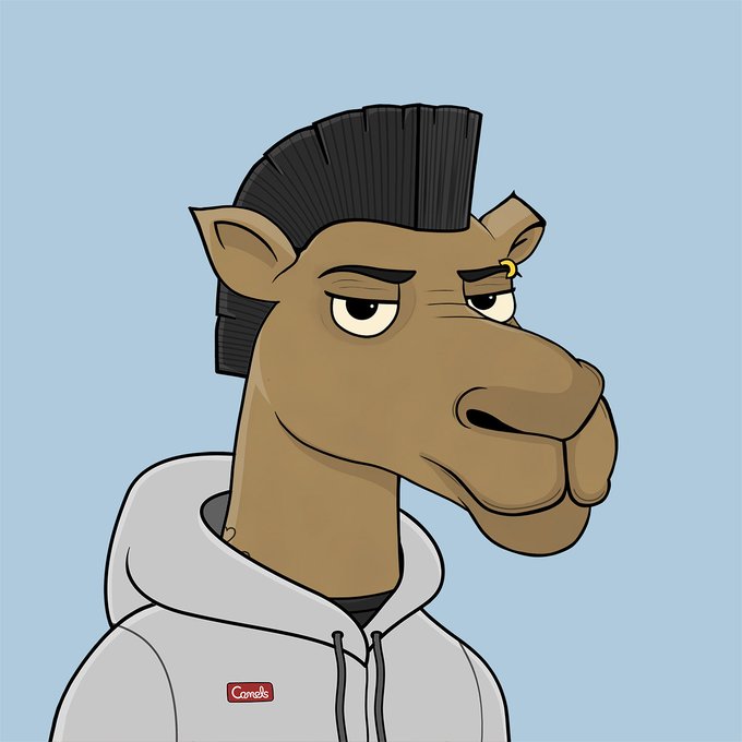 An illustrated cartoon of a tired-looking camel with a mohawk hairstyle and eyebrow piercing, wearing a gray hoodie with a red "Camels" label patch.