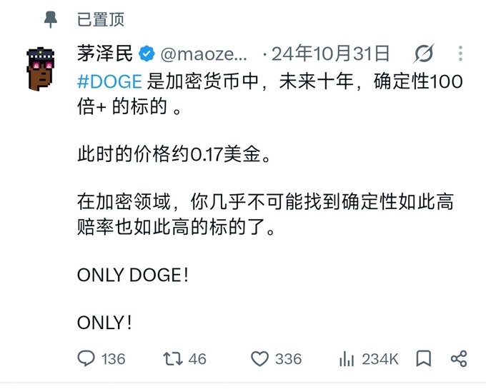 A pinned Chinese-language tweet from @maoze (茅泽民) stating '#DOGE 是加密货币中，未来十年，确定性100倍+的标的' and predicting a current price of approximately $0.17, with 234K views.