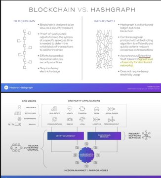 An educational infographic titled 'BLOCKCHAIN VS. HASGRAPH' comparing the two distributed ledger technologies, with sections on End Users, 3rd Party Applications, and Primary Industries/Services.