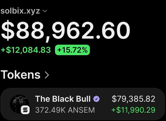 A cryptocurrency portfolio tracker displaying the solbix.xyz wallet showing $88,962.60 (+15.72%, +$12,084.83), with its top token holding being "The Black Bull" at $79,385.82 (+$11,990.29), holding 372.49K $ANSEM tokens.