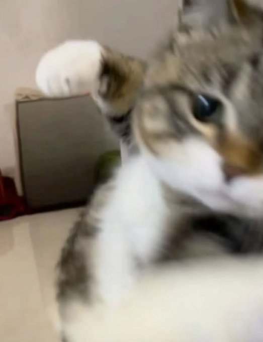 A blurry close-up photo of a tabby and white kitten with large eyes looking directly at the camera, appearing to be indoors near a piece of furniture.