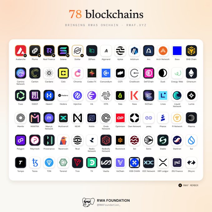 An infographic displaying '78 blockchains' with logos for various networks including Avalanche, Solana, Stellar, and Ethereum, branded as 'RWA Foundation'.