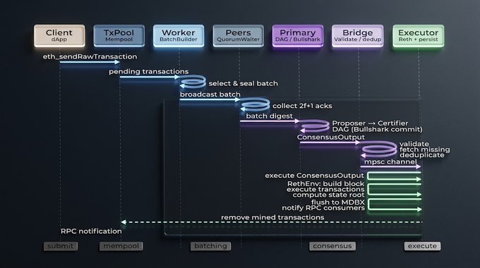 A technical diagram illustrating the transaction lifecycle in a blockchain consensus engine, showing the flow from Client through TxPool, Worker, Peers, Primary, Bridge, and Executor components with stages including submit, mempool, batching, consensus, and execute. The image relates to the post by visualizing the architecture of Axyl, the consensus engine powering the Rayls Public Chain that was open-sourced by Rayls Labs.