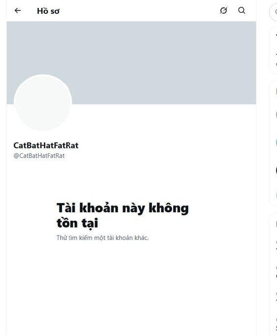 A screenshot of an account profile page displaying the text 'Tài khoản này không tồn tại' and 'Thử tìm kiếm một tài khoản khác.' under the handle 'CatBatHatFatRat'.