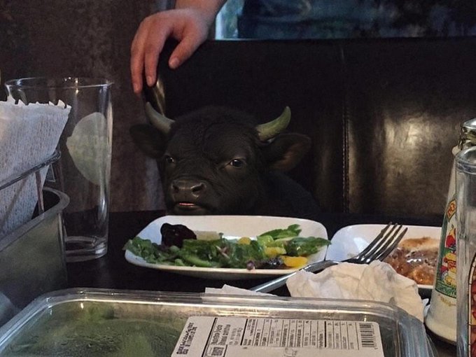 A person's hand pets a black bull plushie wearing sunglasses, sitting at a restaurant table with a salad plate, fork, water glass, and takeout containers visible. The bull figurine serves as a fitting mascot for the post's reference to going "long" on a stock right before a listing announcement, humorously capturing the bullish (profitable) insider trading moment.