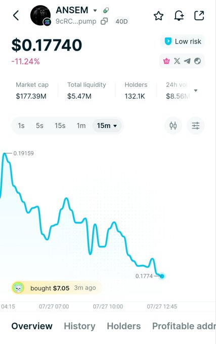 A cryptocurrency tracking app screen for the token 'ANSEM' showing a price of '$0.17740' with an 11.24% decrease and a downward-trending line chart.