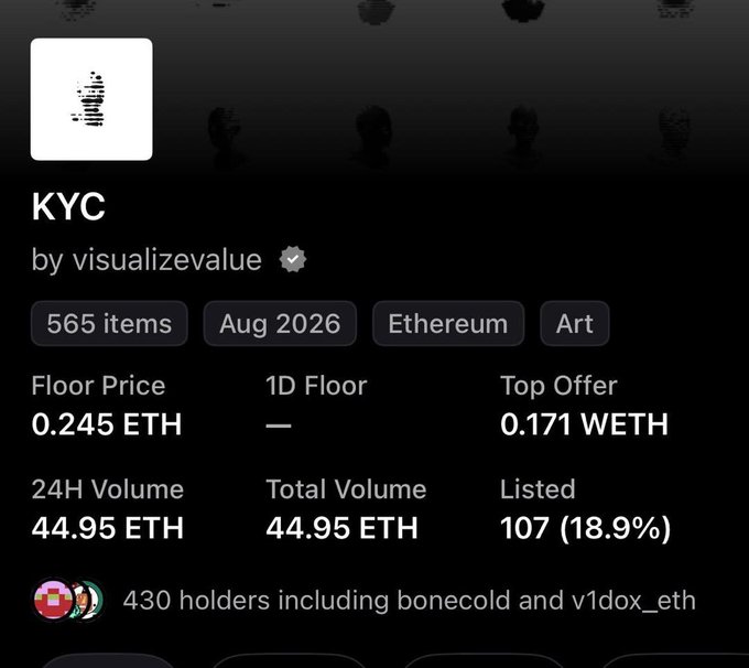 NFT collection page for 'KYC' by visualizevalue (verified) on Ethereum with 565 items, floor price of 0.245 ETH, 24H volume of 44.95 ETH, and 430 holders.
