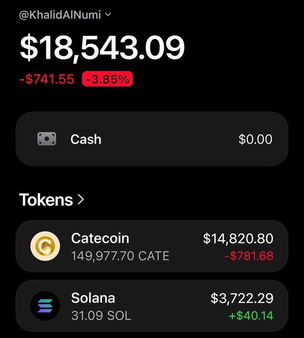 A cryptocurrency portfolio screenshot for @KhalidAlNumi showing a total balance of $18,543.09 (-3.85%, -$741.55), including holdings in Catecoin ($14,820.80) and Solana ($3,722.29).