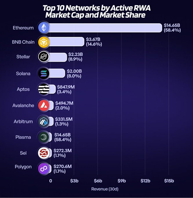 The image is a horizontal bar chart titled "Top 10 Networks by Active RWA Market Cap and Market Share," ranking blockchain networks by their Real World Asset (RWA) market capitalization. Ethereum dominates with $14.65B (58.4%), followed by BNB Chain at $3.67B (14.6%), Stellar at $2.23B (8.9%), Solana at $2.00B (8.0%), and other networks including Aptos, Avalanche, Arbitrum, Sei, and Polygon, each holding under 4% market share—though a data error shows "Plasma" displaying the same $14.65B (58.4%) figures as Ethereum.