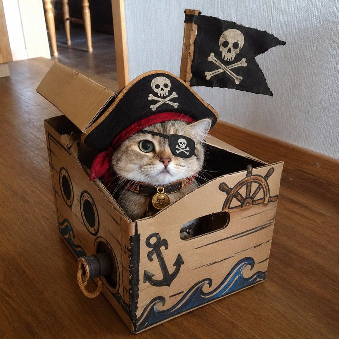 A real-life photograph of a cat wearing a pirate hat, eyepatch, and collar with a bell, sitting inside a cardboard box decorated like a pirate ship next to a black pirate flag.