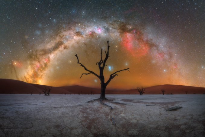 A haunting image of a leafless tree in a desolate landscape under a brilliant Milky Way sky, evoking the stark, otherworldly beauty that could captivate Times Square audiences at NFT NYC 2026. The dramatic cosmic display and barren earth create a striking visual statement befitting a digital art showcase.