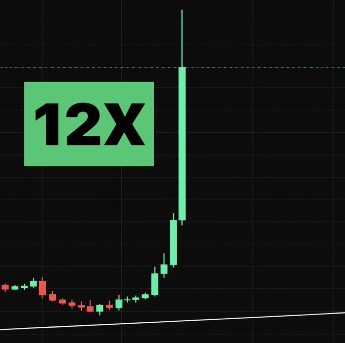 A green "12x" label is overlaid on a candlestick chart showing a sharp bullish breakout with a long green candle extending toward a dashed resistance line, visually reinforcing the post's claim that altcoins could multiply twelvefold in the current crypto bull run.