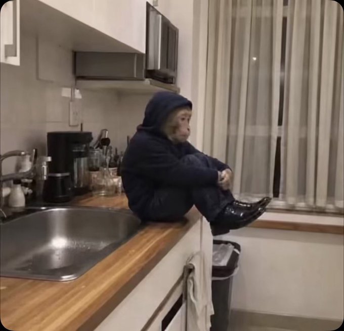 A photo of a chimpanzee wearing a dark blue hoodie and pants, sitting contemplatively on a kitchen counter next to a sink with a melancholy, pensive expression.