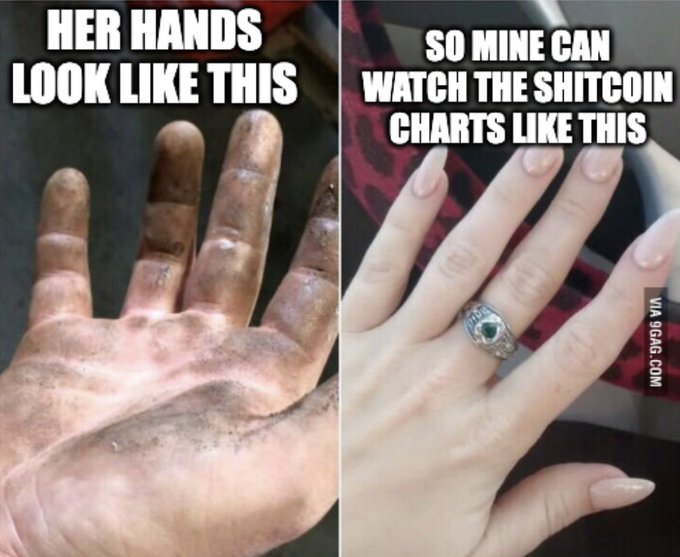 A meme contrasting two hands with text: 'HER HANDS LOOK LIKE THIS' over a dirty, calloused palm, and 'SO MINE CAN WATCH THE SHITCOIN CHARTS LIKE THIS' over a manicured hand wearing a large ring (via 9GAG.COM).