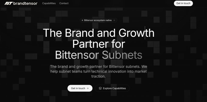 A screenshot of brandtensor's website, displaying the tagline "The Brand and Growth Partner for Bittensor Subnets" along with their mission to help subnet teams turn technical innovation into market traction, directly illustrating their role as the brand partner for Bittensor subnet teams mentioned in the post.