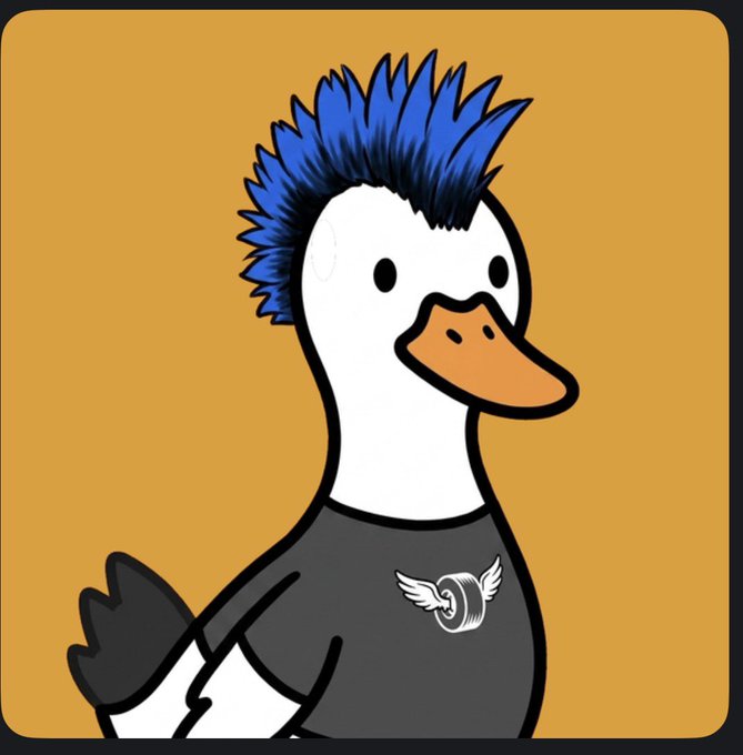 A cartoon duck with a blue mohawk hairstyle wears a dark grey t-shirt featuring a winged coin logo, set against an orange background.